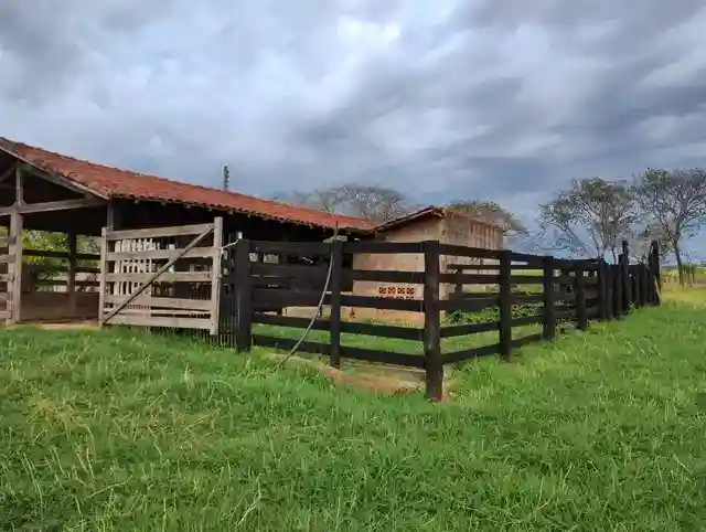 Fazenda / Sítio / Chácara  à venda, 96m² — foto 4 de 30