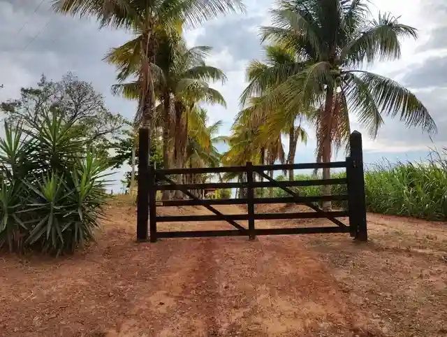 Fazenda / Sítio / Chácara  à venda, 96m² — foto 1 de 30