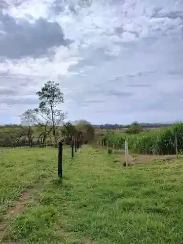 Fazenda / Sítio / Chácara  à venda, 96m² — foto 5 de 30
