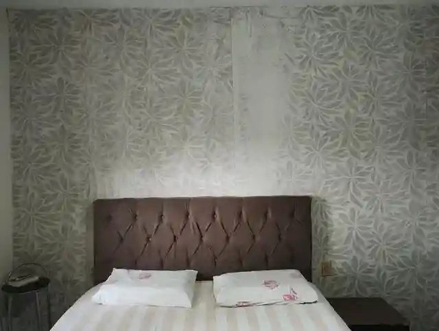 Fazenda / Sítio / Chácara  à venda, 96m² — foto 21 de 30