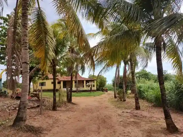 Fazenda / Sítio / Chácara  à venda, 96m² — foto 20 de 30