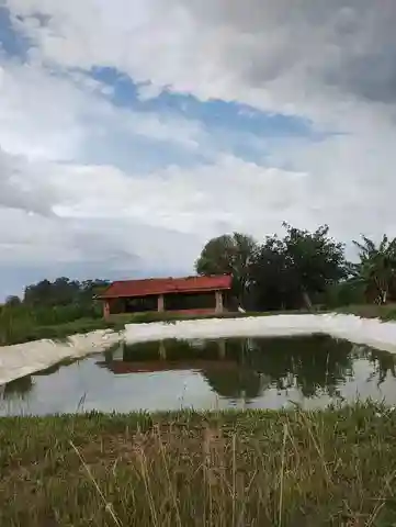 Fazenda / Sítio / Chácara  à venda, 96m² — foto 11 de 30