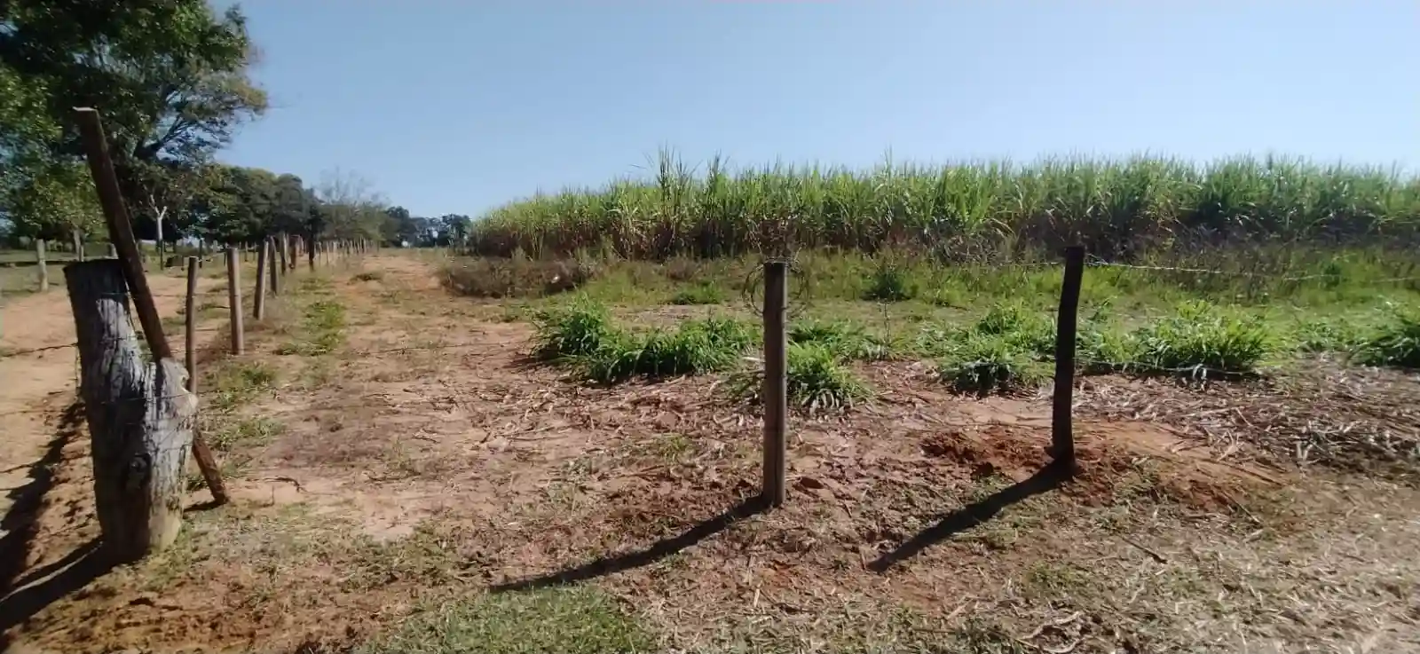 Fazenda / Sítio / Chácara à venda — foto 9 de 26