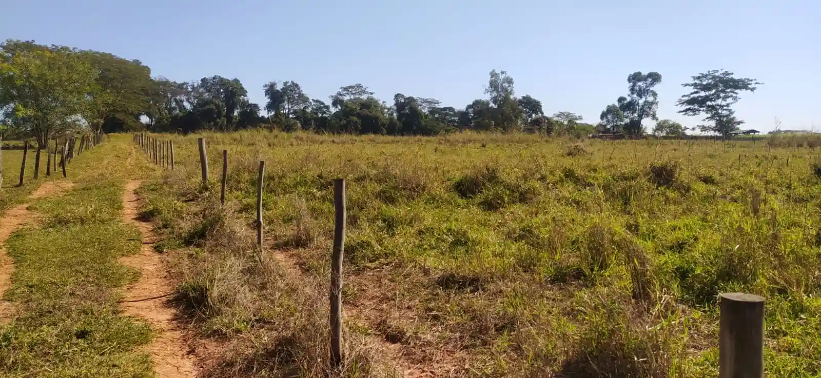 Fazenda / Sítio / Chácara à venda — foto 8 de 26