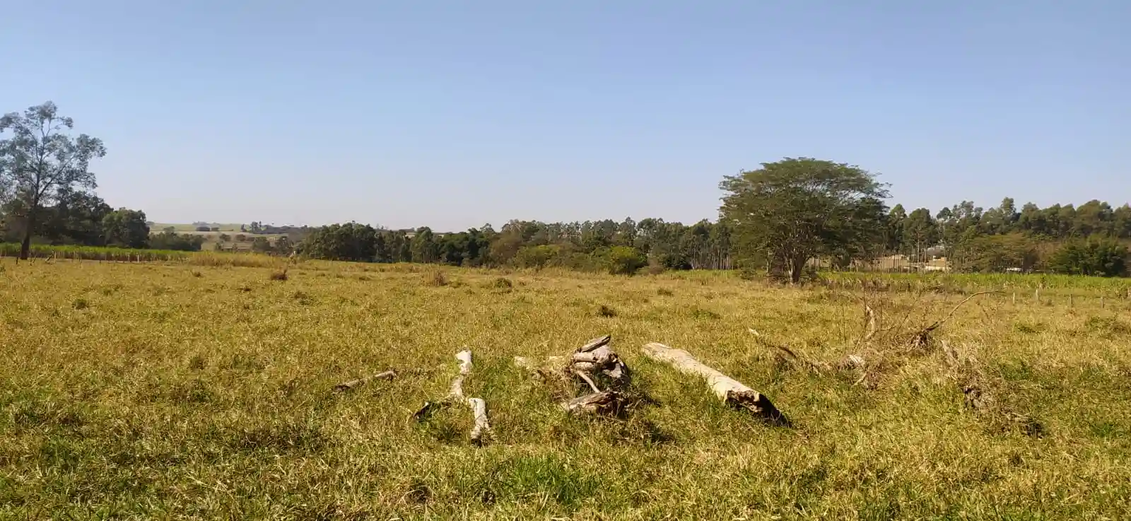 Fazenda / Sítio / Chácara à venda — foto 15 de 26
