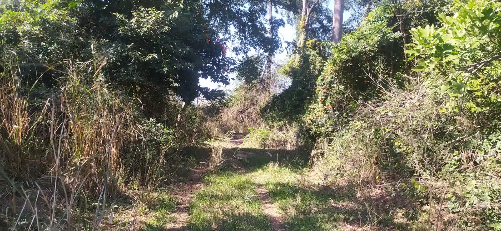 Fazenda / Sítio / Chácara à venda — foto 25 de 26