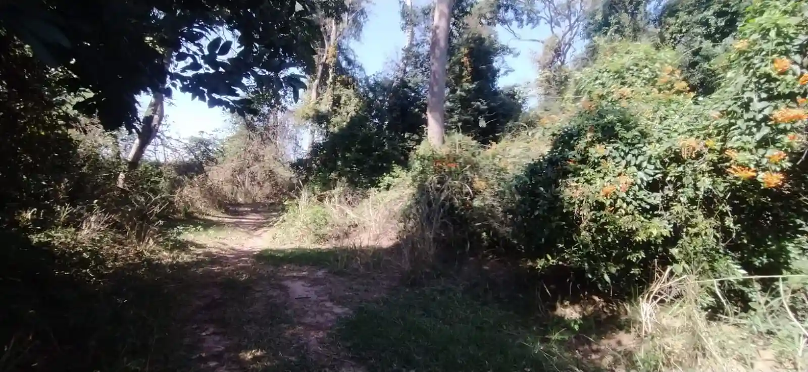 Fazenda / Sítio / Chácara à venda — foto 20 de 26