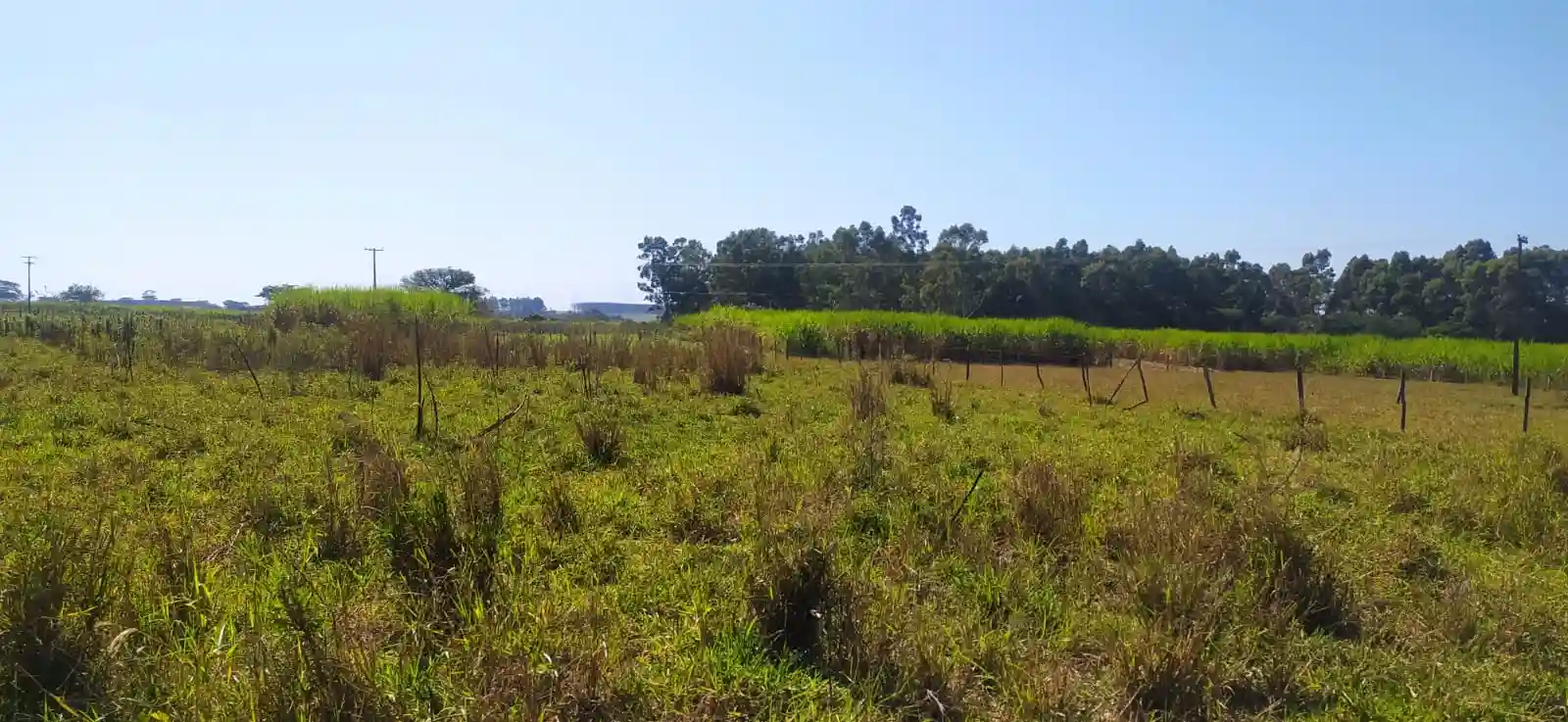 Fazenda / Sítio / Chácara à venda — foto 10 de 26