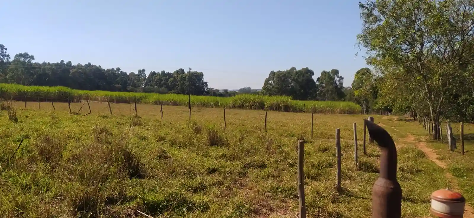 Fazenda / Sítio / Chácara à venda — foto 12 de 26
