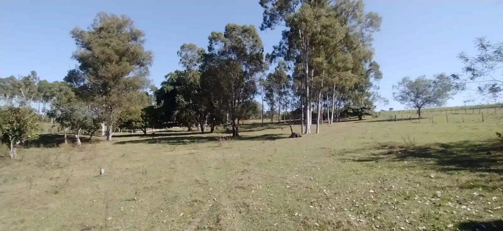 Fazenda / Sítio / Chácara à venda — foto 4 de 26