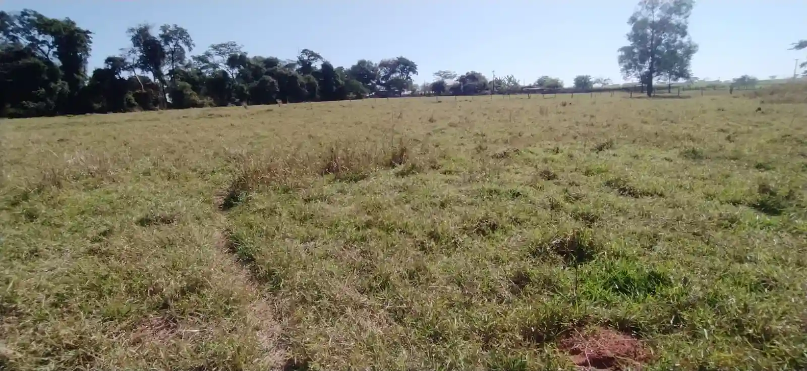 Fazenda / Sítio / Chácara à venda — foto 13 de 26