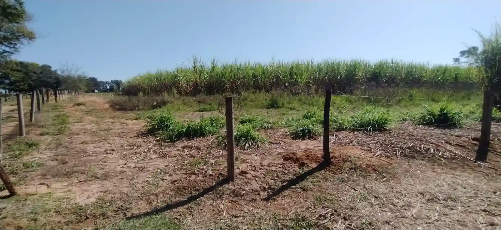 Fazenda / Sítio / Chácara à venda — foto 7 de 26