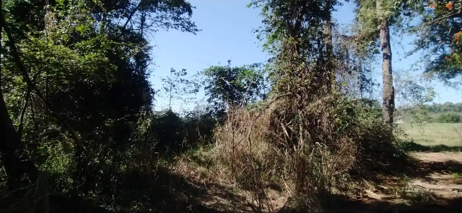 Fazenda / Sítio / Chácara à venda — foto 18 de 26