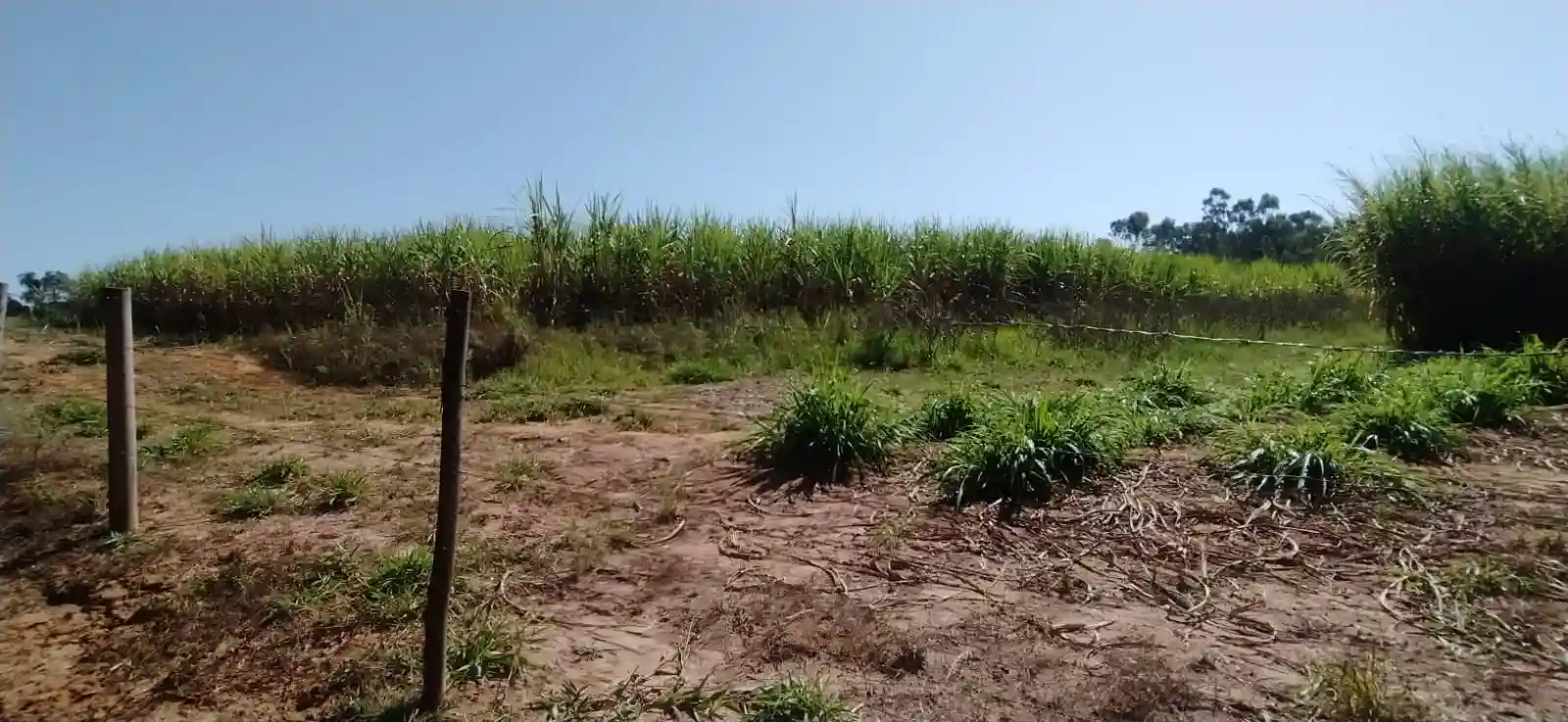 Fazenda / Sítio / Chácara à venda — foto 23 de 26