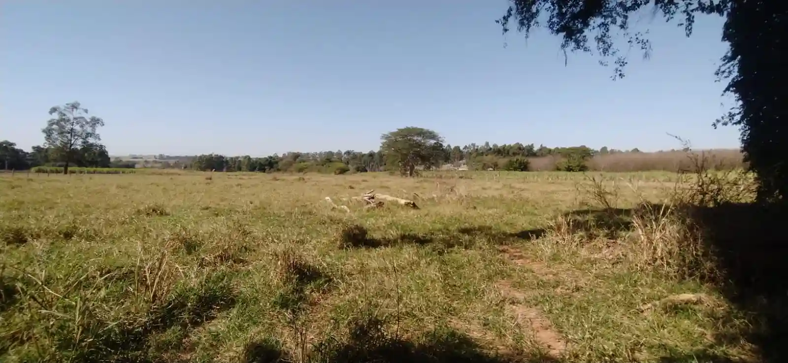 Fazenda / Sítio / Chácara à venda — foto 17 de 26