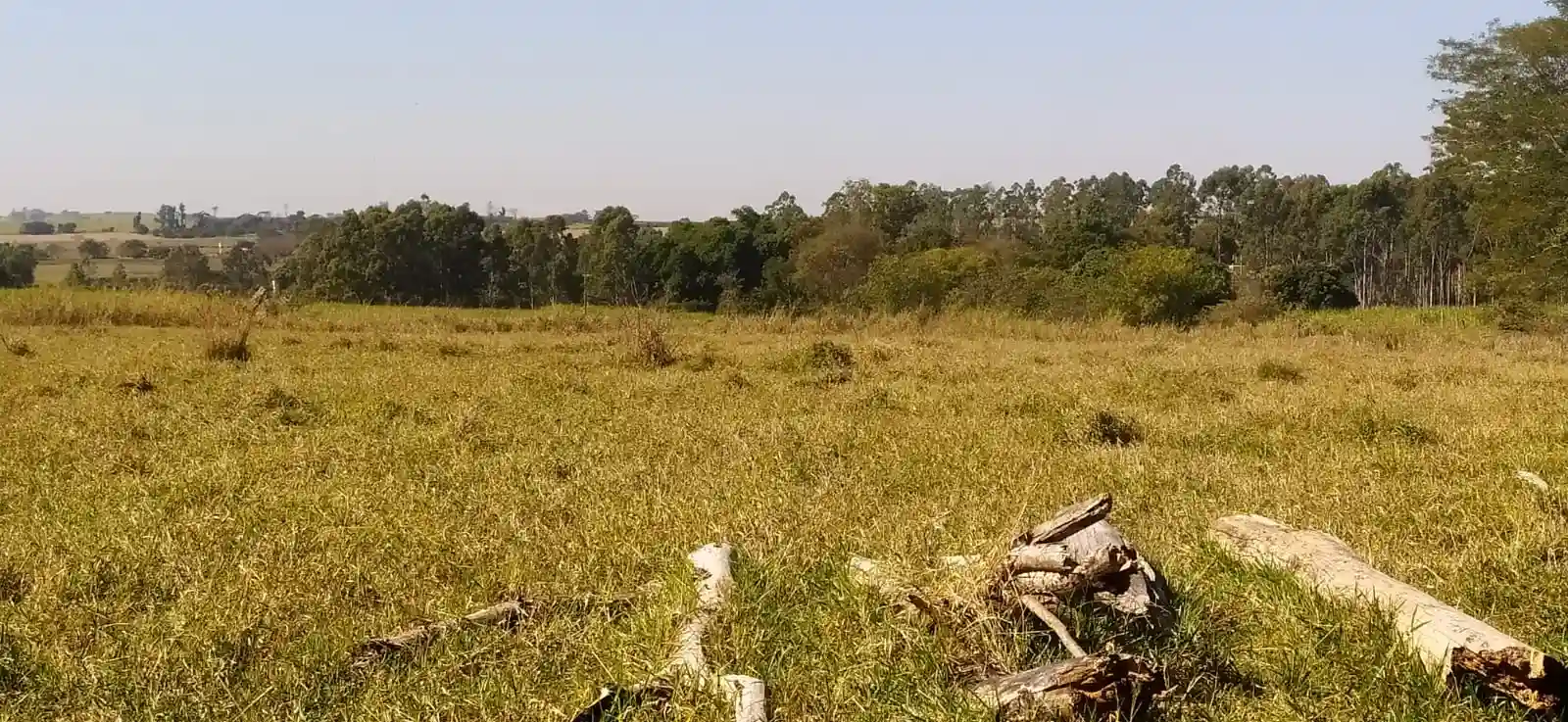 Fazenda / Sítio / Chácara à venda — foto 14 de 26