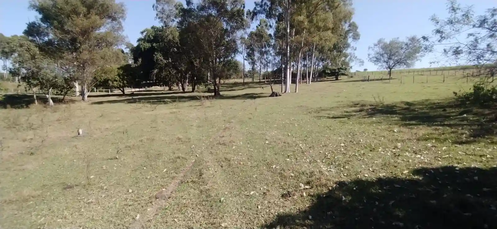 Fazenda / Sítio / Chácara à venda — foto 3 de 26