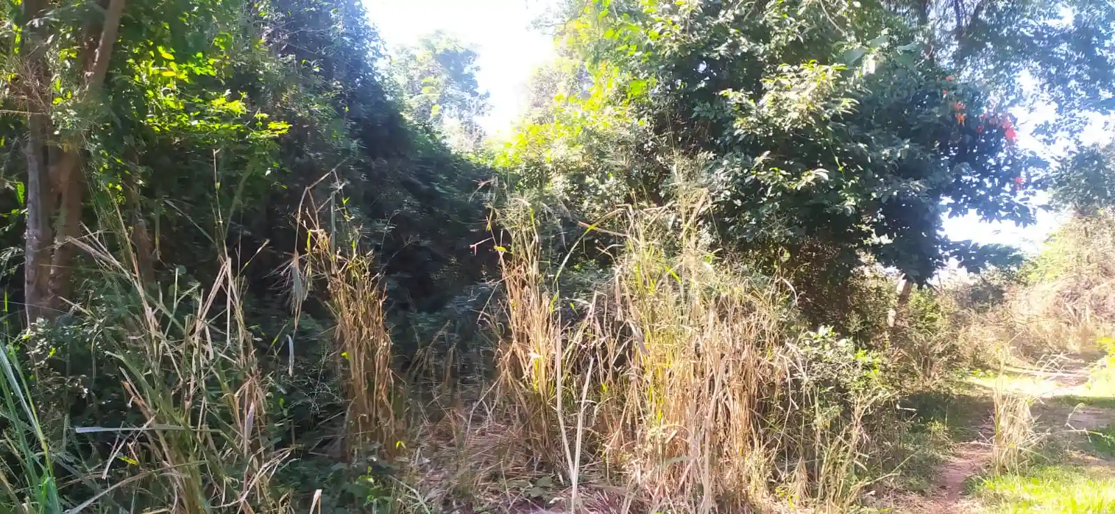 Fazenda / Sítio / Chácara à venda — foto 21 de 26