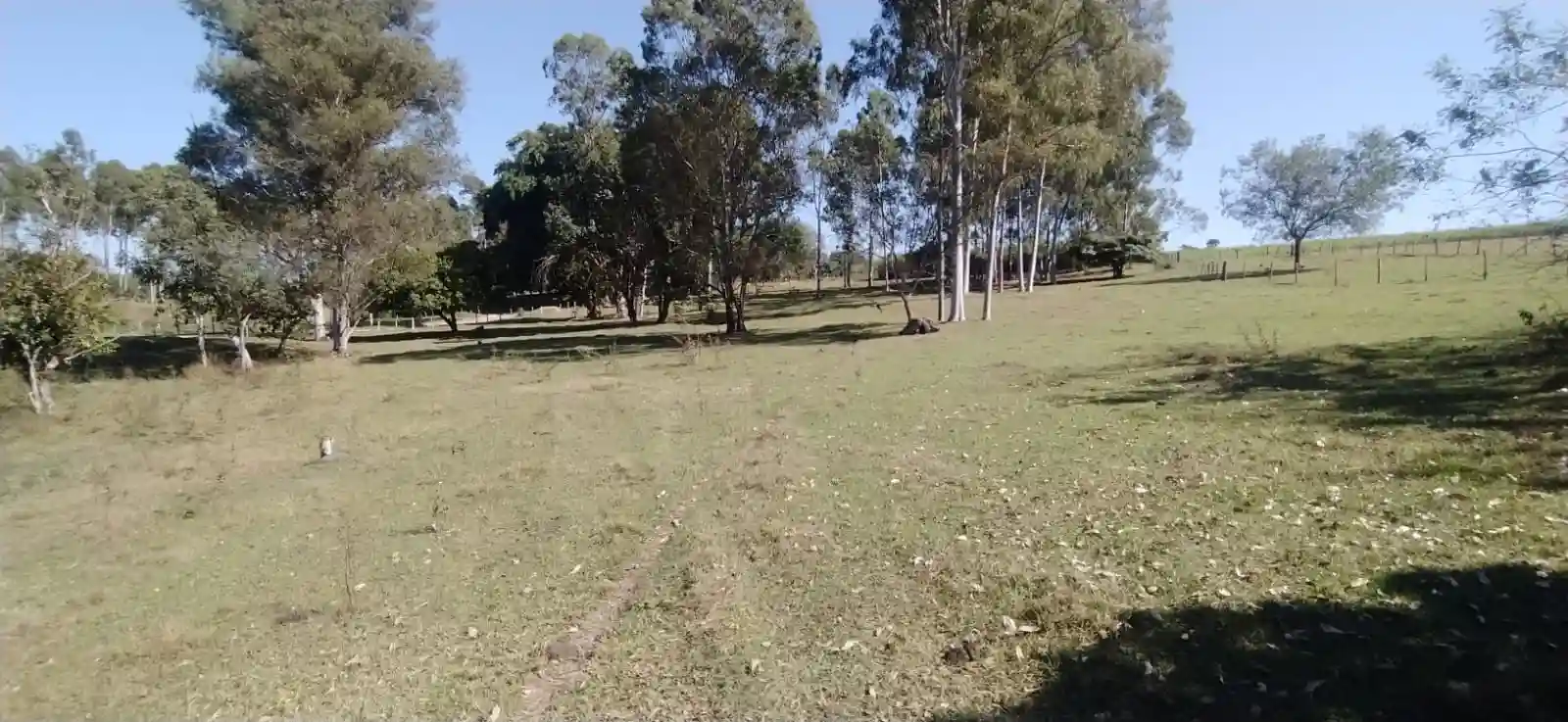Fazenda / Sítio / Chácara à venda — foto 5 de 26