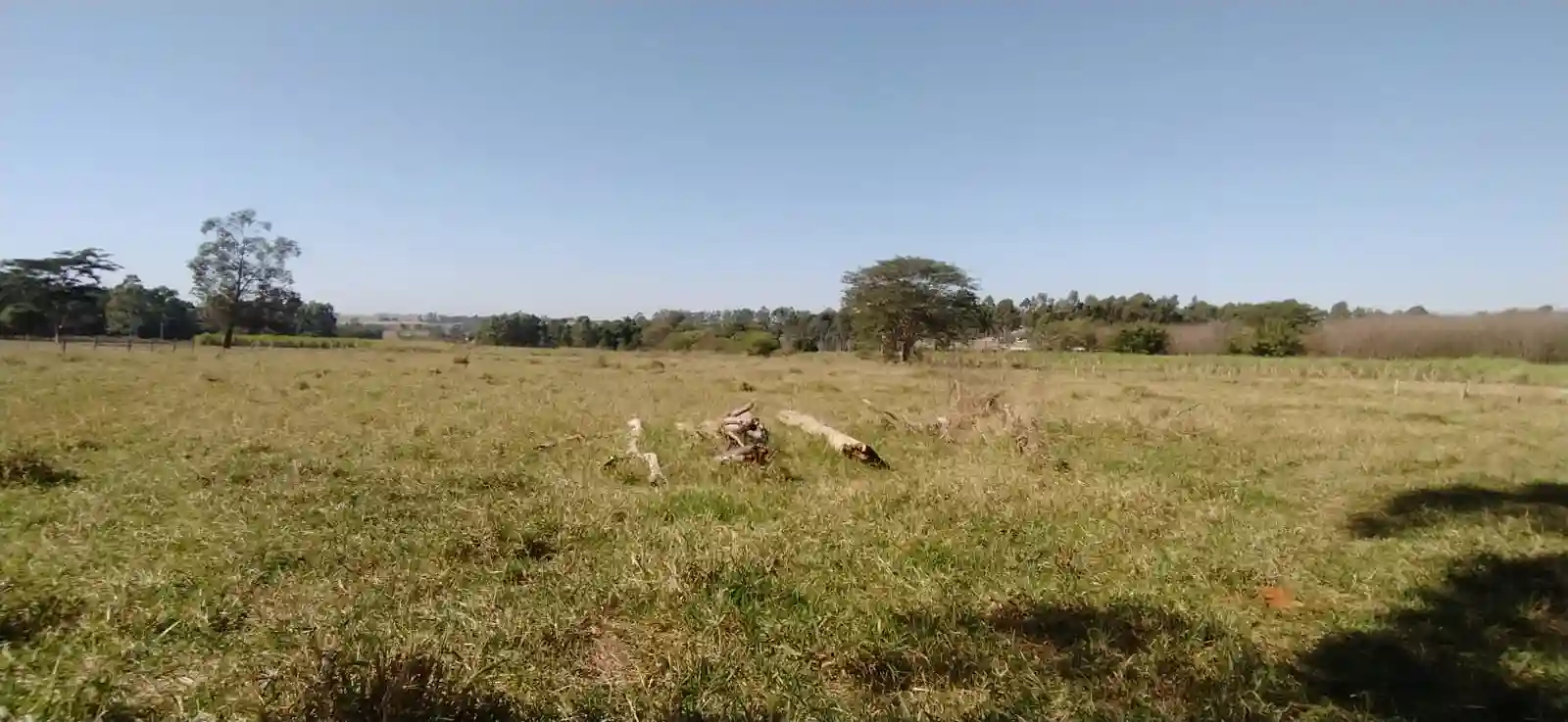 Fazenda / Sítio / Chácara à venda — foto 19 de 26