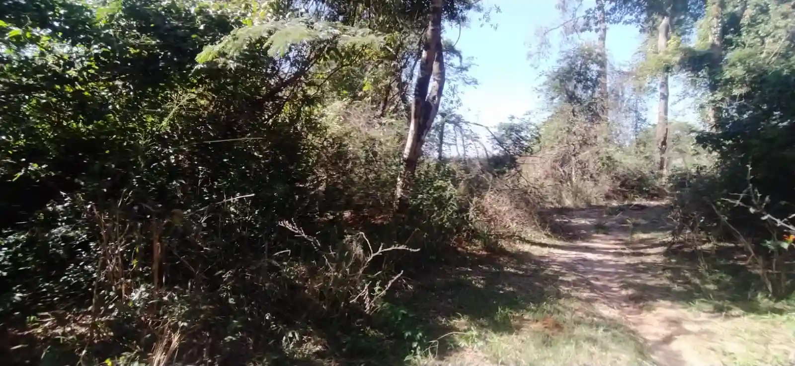 Fazenda / Sítio / Chácara à venda — foto 22 de 26
