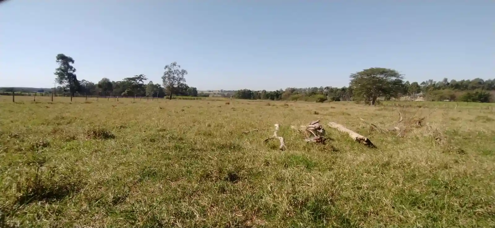 Fazenda / Sítio / Chácara à venda — foto 16 de 26