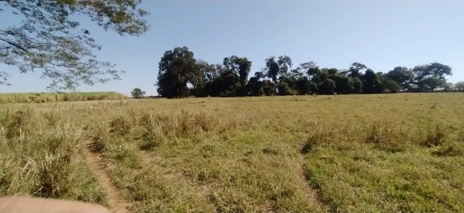 Fazenda / Sítio / Chácara à venda — foto 11 de 26