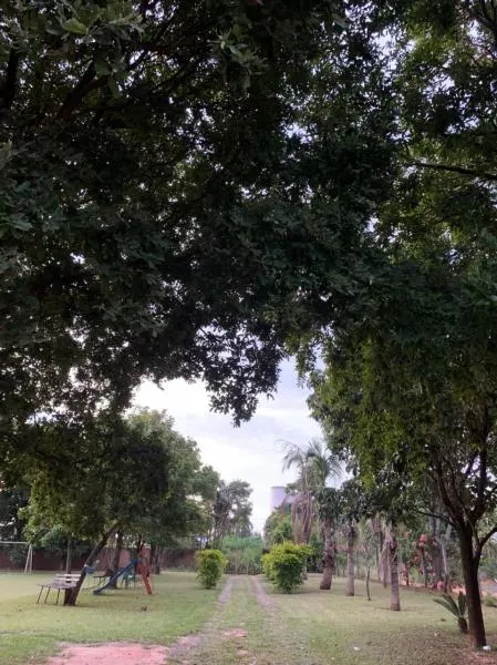 Fazenda / Sítio / Chácara à venda — foto 2 de 3