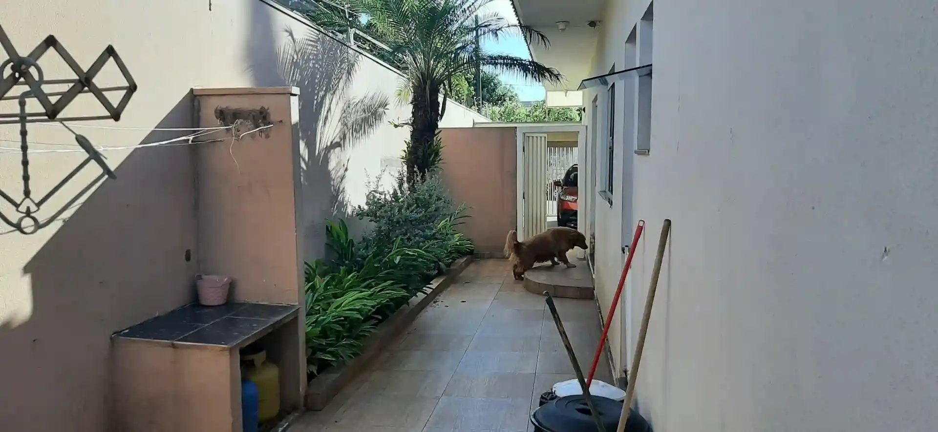 Casa com 3 quartos à venda, 450m² — foto 6 de 43