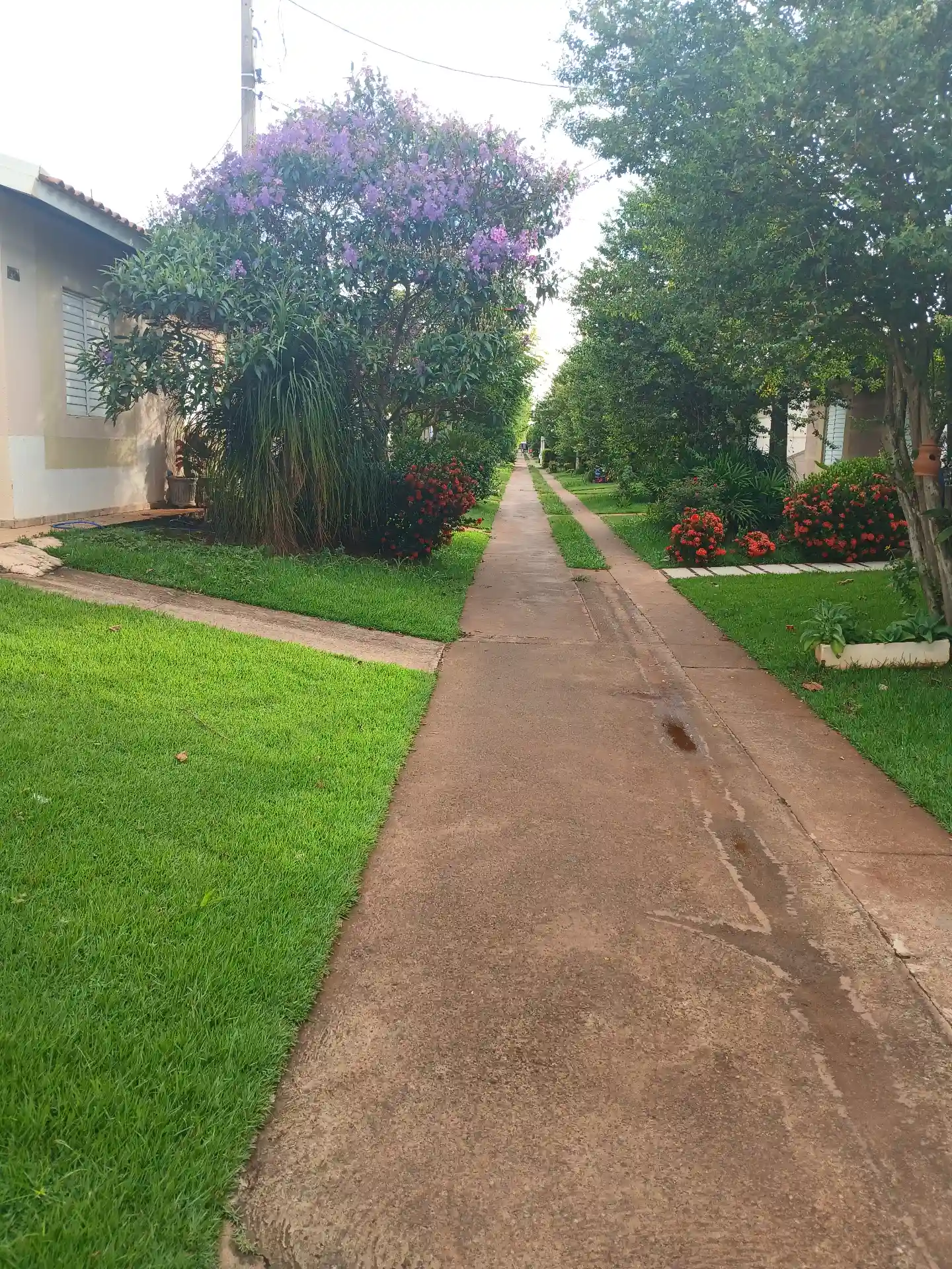 Casa de Condomínio com 3 quartos à venda, 85m² — foto 3 de 26