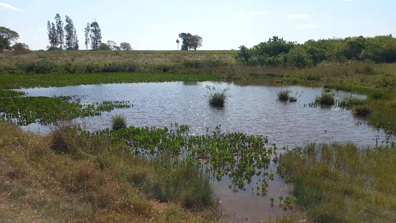 Fazenda / Sítio / Chácara  à venda, 576000m² — foto 19 de 41