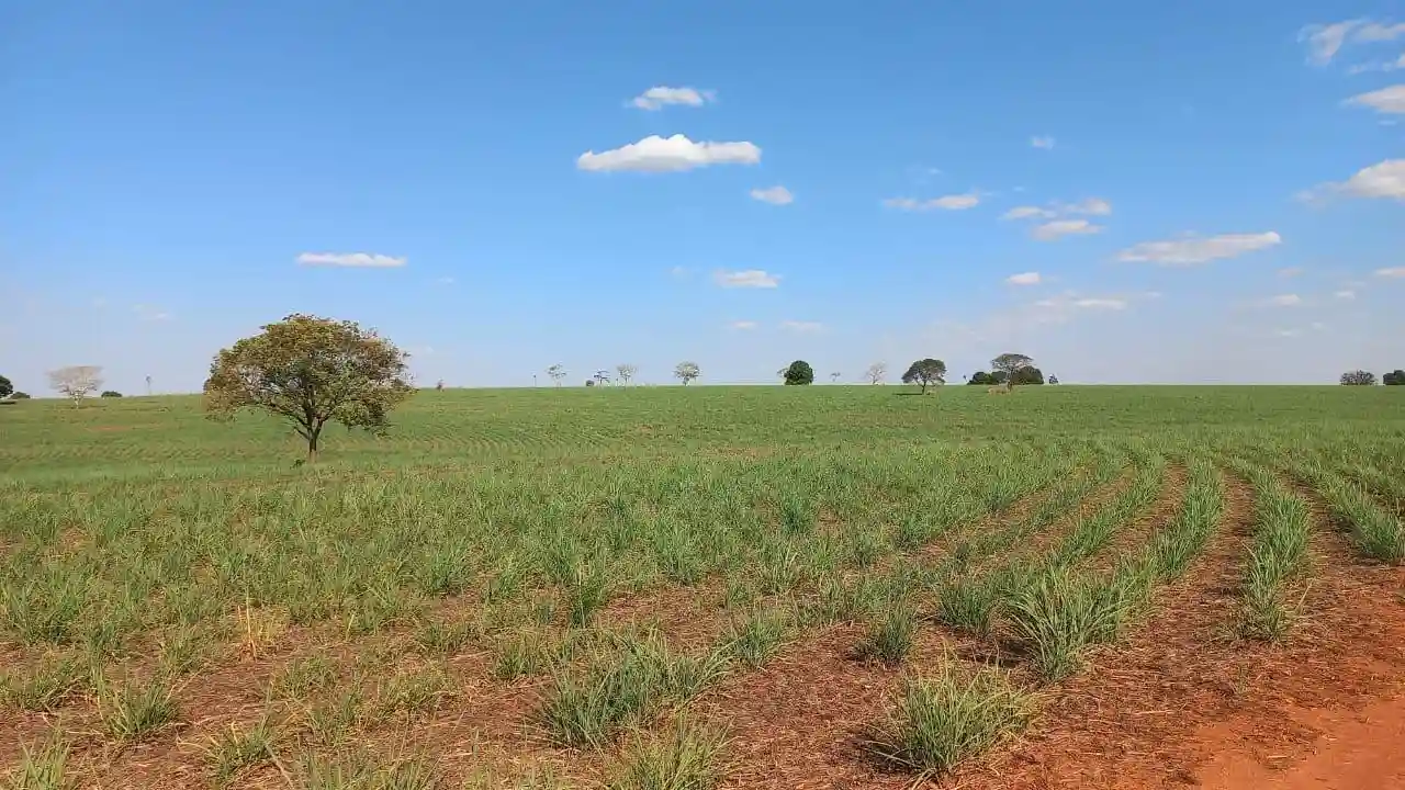 Fazenda / Sítio / Chácara  à venda, 576000m² — foto 18 de 41