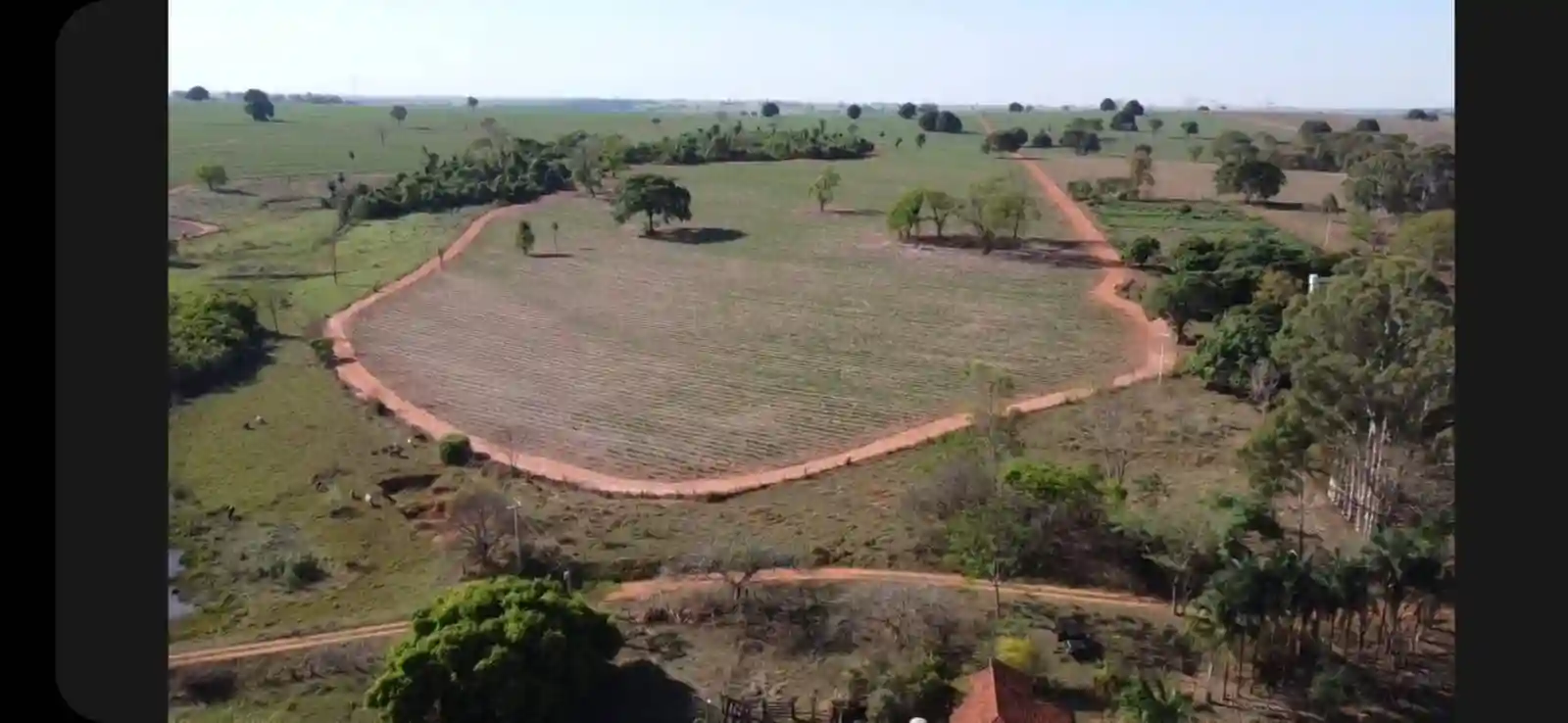 Fazenda / Sítio / Chácara  à venda, 576000m² — foto 11 de 41