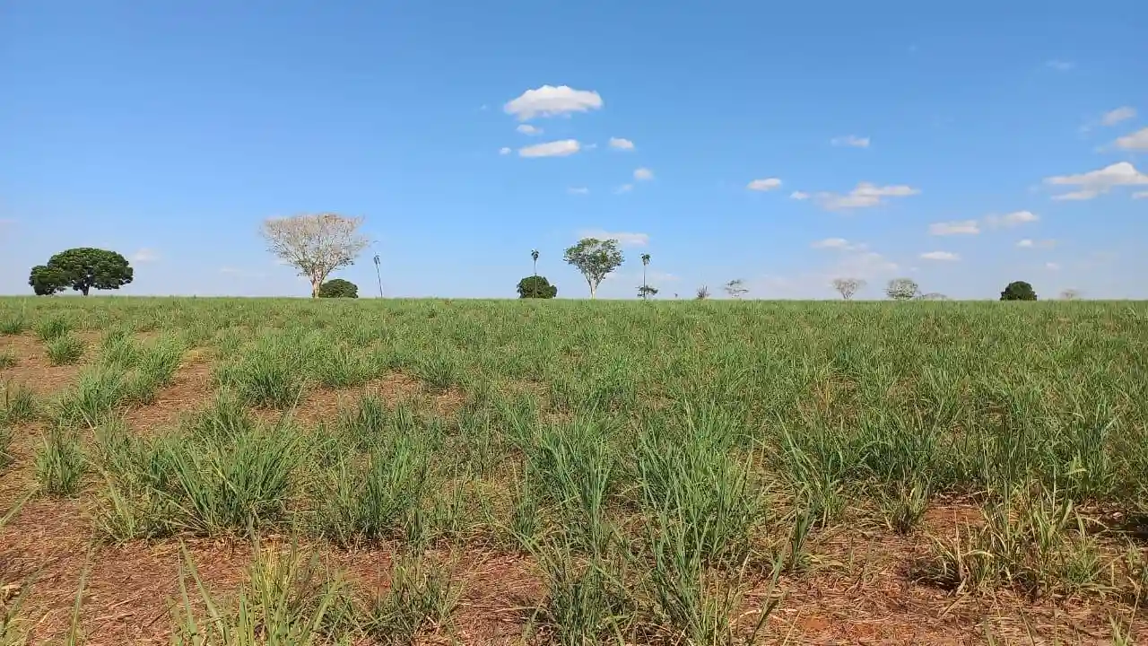 Fazenda / Sítio / Chácara  à venda, 576000m² — foto 15 de 41