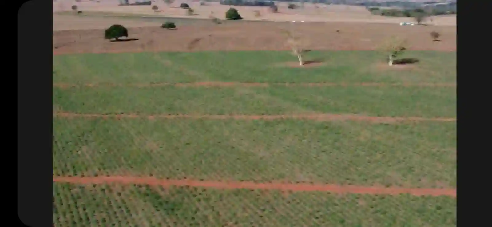 Fazenda / Sítio / Chácara  à venda, 576000m² — foto 7 de 41