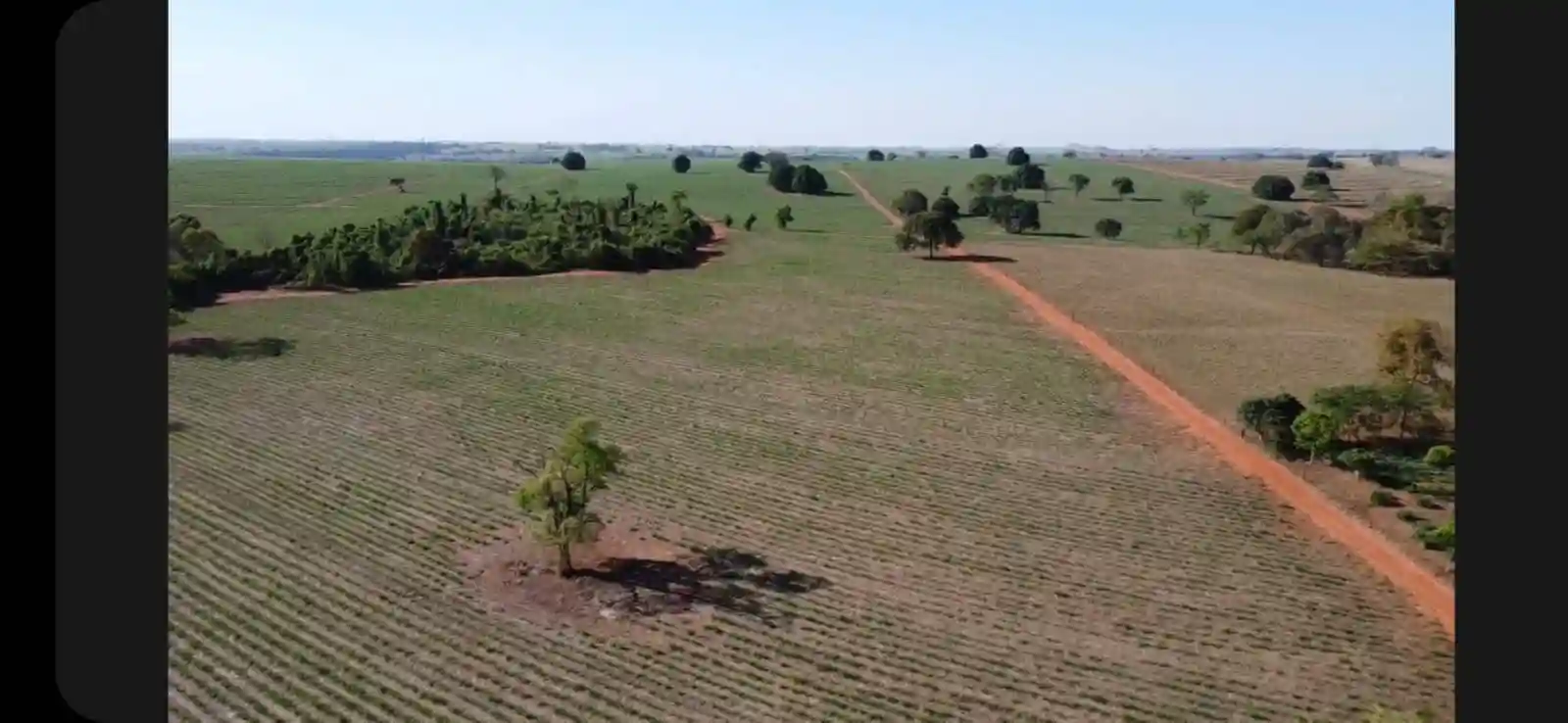 Fazenda / Sítio / Chácara  à venda, 576000m² — foto 9 de 41