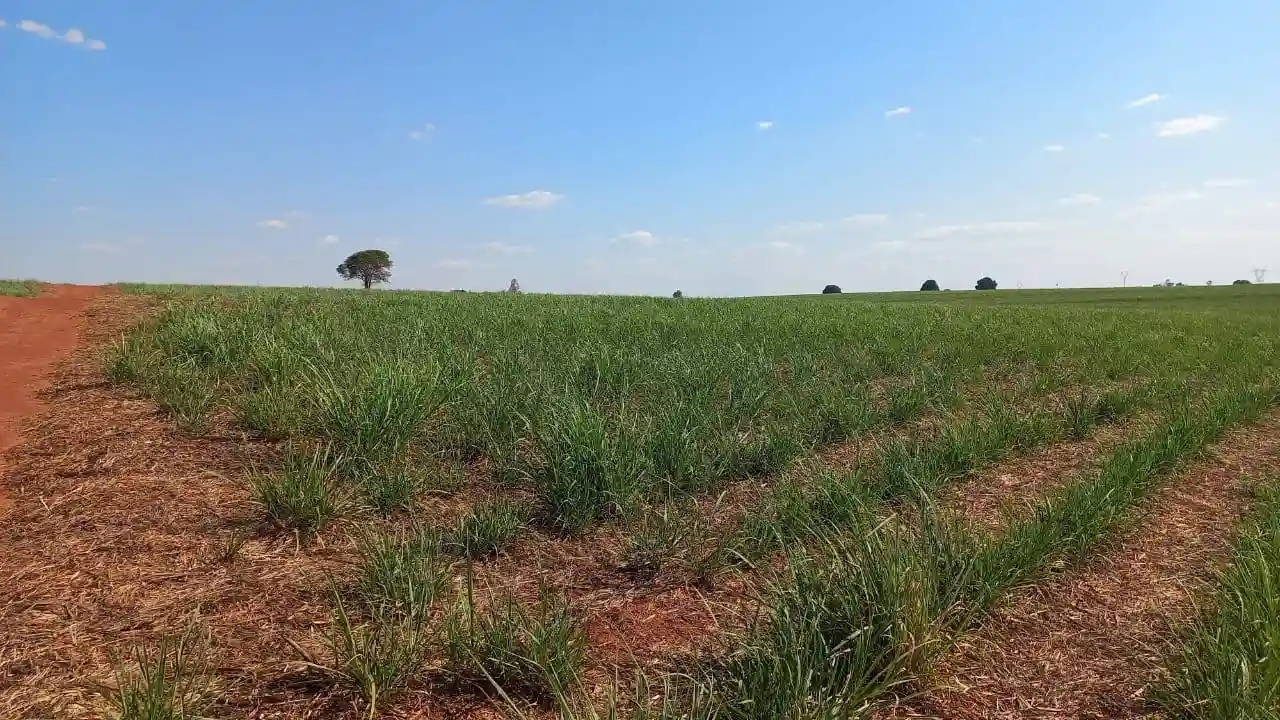 Fazenda / Sítio / Chácara  à venda, 576000m² — foto 14 de 41