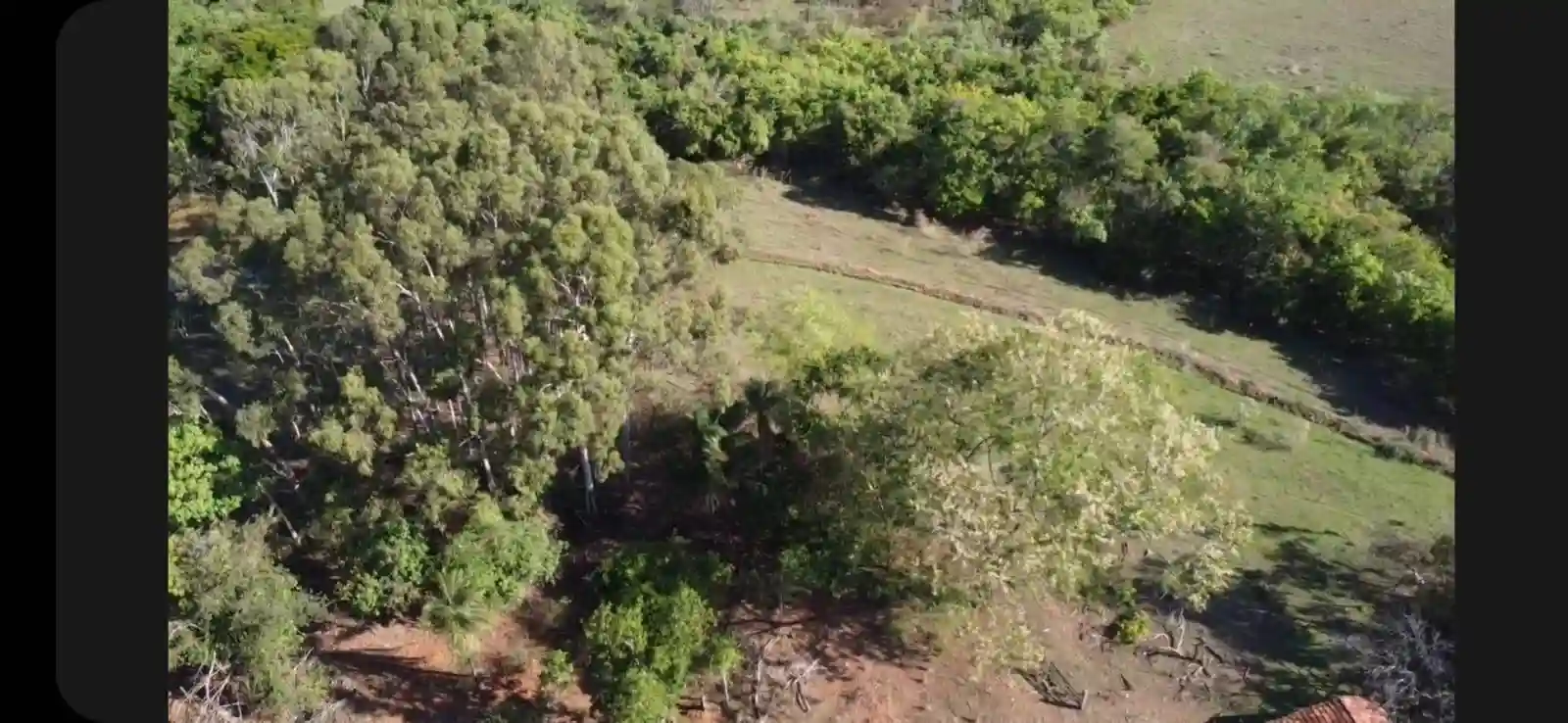 Fazenda / Sítio / Chácara  à venda, 576000m² — foto 30 de 41