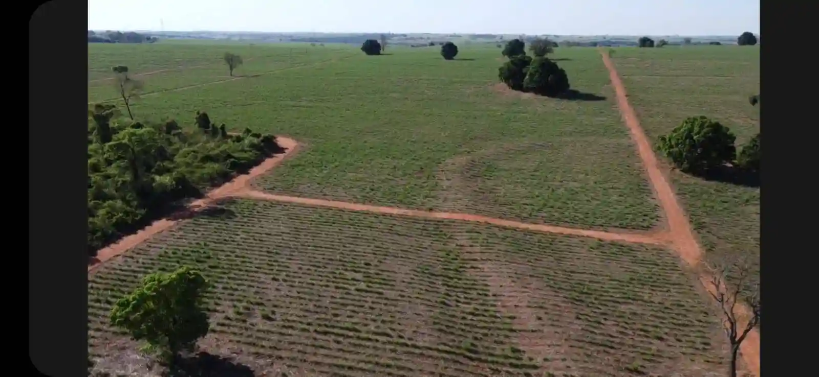 Fazenda / Sítio / Chácara  à venda, 576000m² — foto 40 de 41