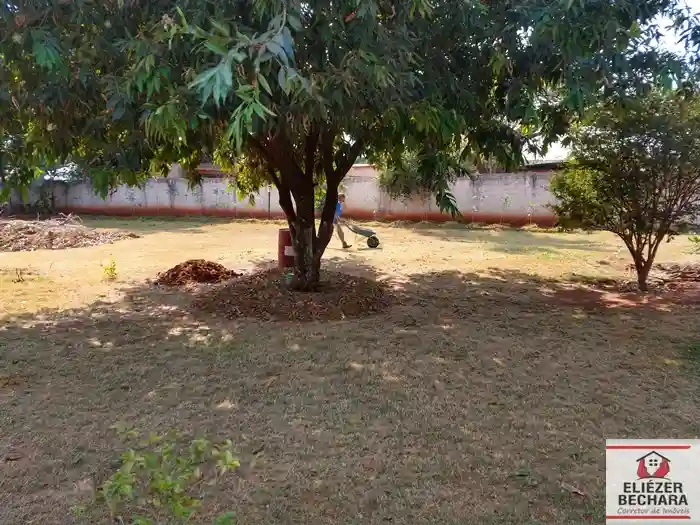 Fazenda / Sítio / Chácara com 2 quartos à venda, 2000m² — foto 9 de 43