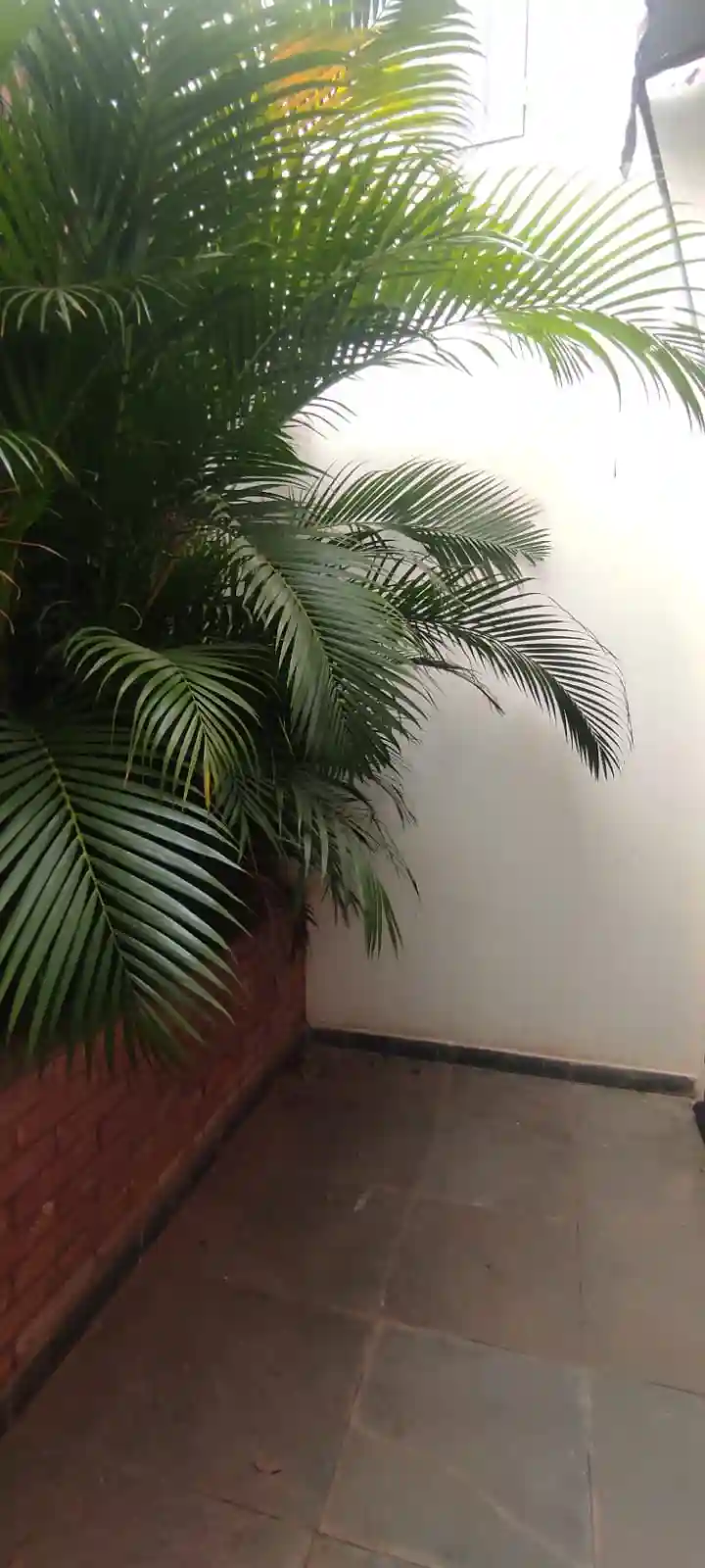 Casa com 3 quartos à venda, 250m² — foto 16 de 17