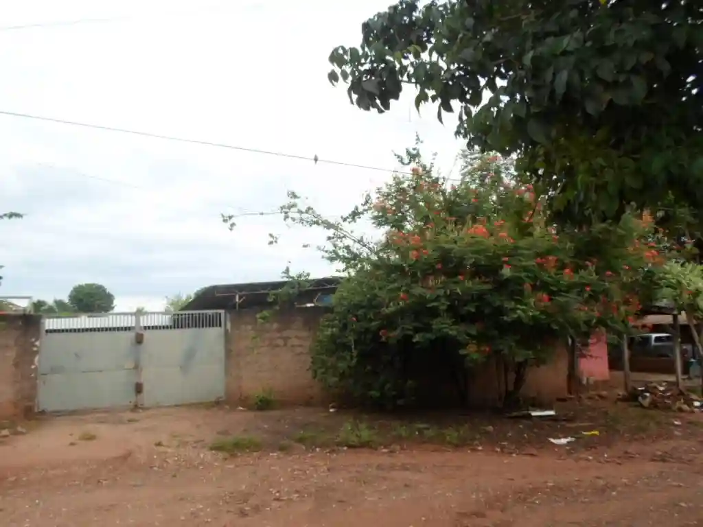 Fazenda / Sítio / Chácara  para aluguel, 1200m² — foto 4 de 17