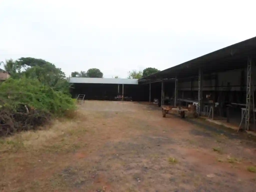 Fazenda / Sítio / Chácara  para aluguel, 1200m² — foto 11 de 17