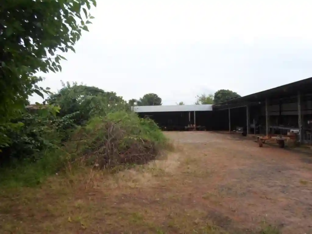 Fazenda / Sítio / Chácara  para aluguel, 1200m² — foto 10 de 17