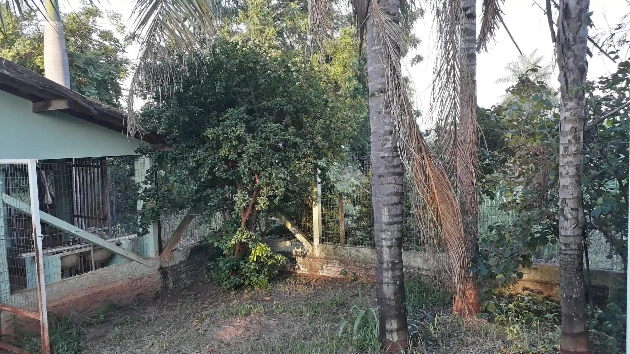 Fazenda / Sítio / Chácara com 4 quartos à venda, 400m² — foto 8 de 20