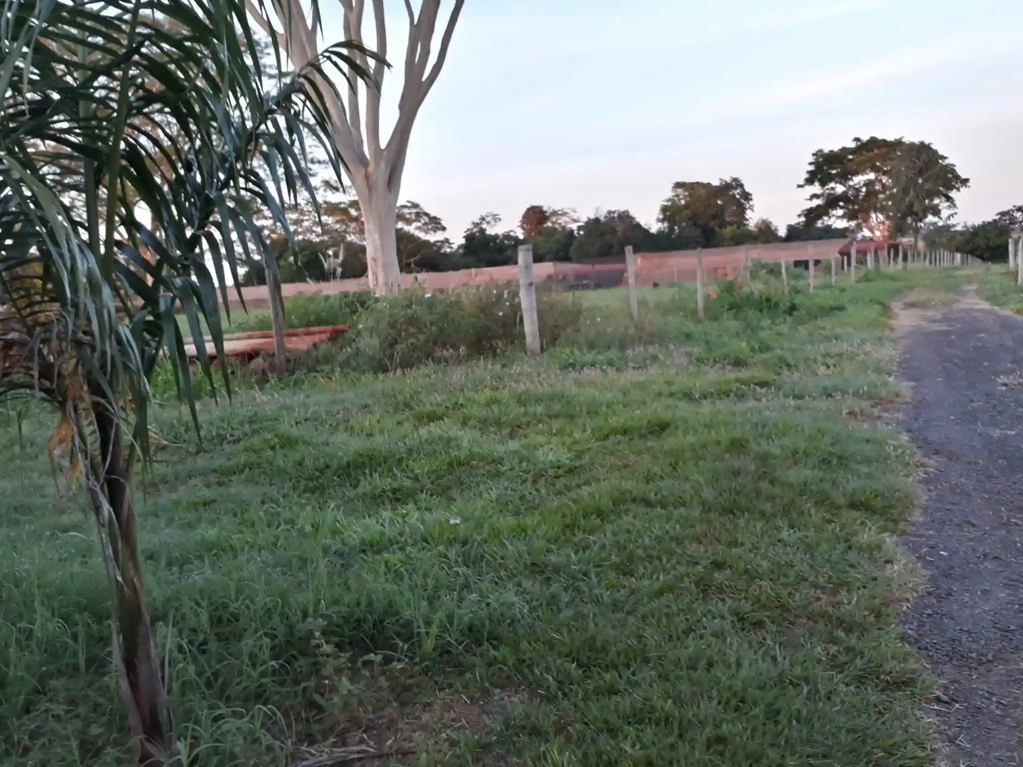 Fazenda / Sítio / Chácara com 4 quartos à venda, 400m² — foto 12 de 20