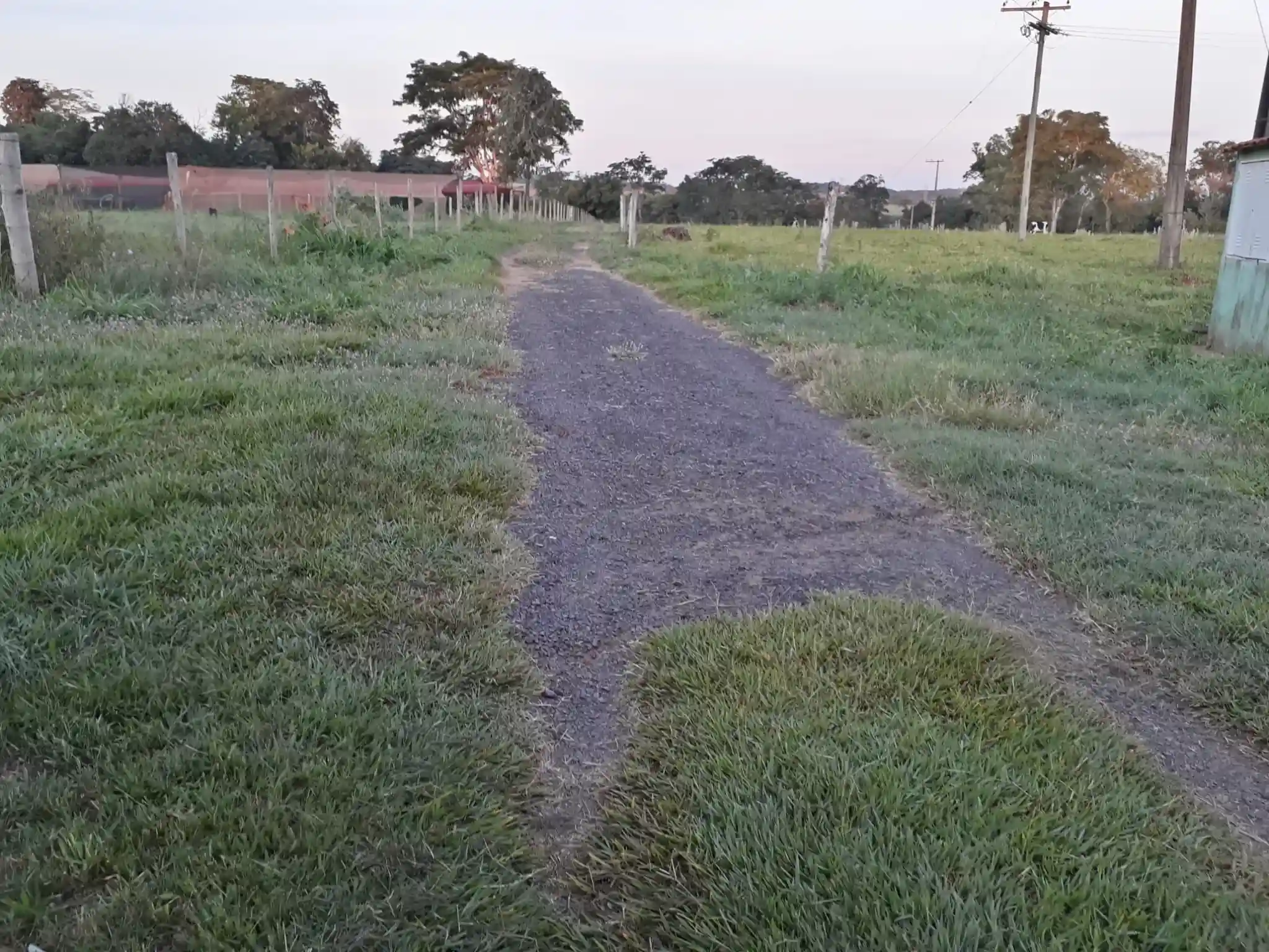 Fazenda / Sítio / Chácara com 4 quartos à venda, 400m² — foto 13 de 20
