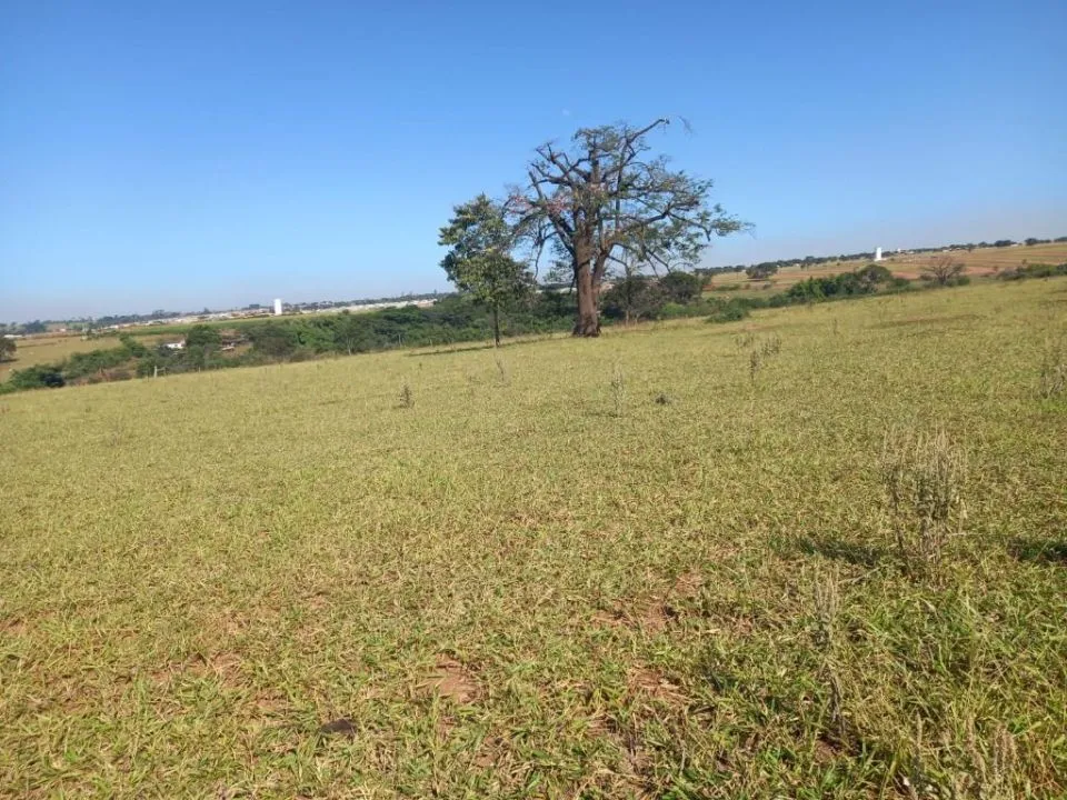 Terreno / Lote / Condomínio à venda — foto 1 de 4