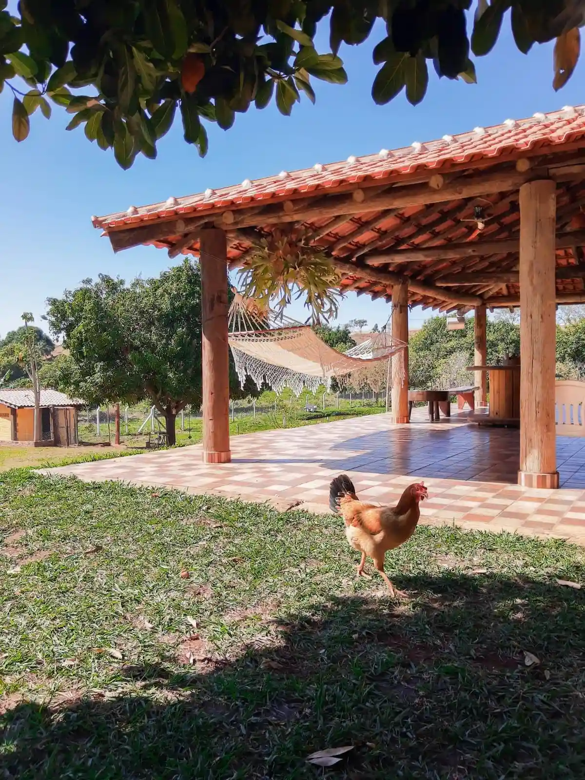 Fazenda / Sítio / Chácara com 3 quartos à venda, 7000m² — foto 2 de 8