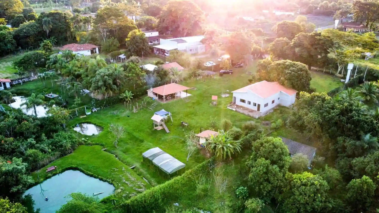 Fazenda / Sítio / Chácara com 3 quartos à venda, 7000m² — foto 6 de 8